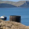 Point Reyes 26